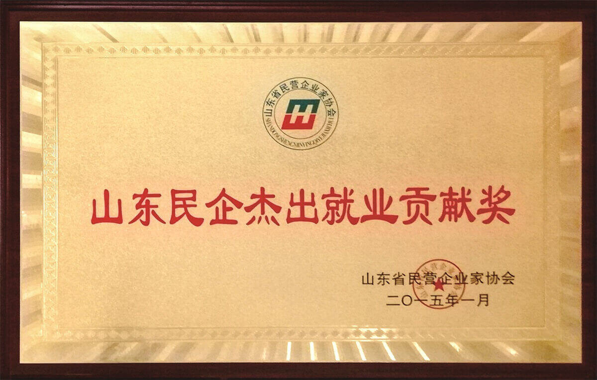 山東民企杰出就業(yè)貢獻獎