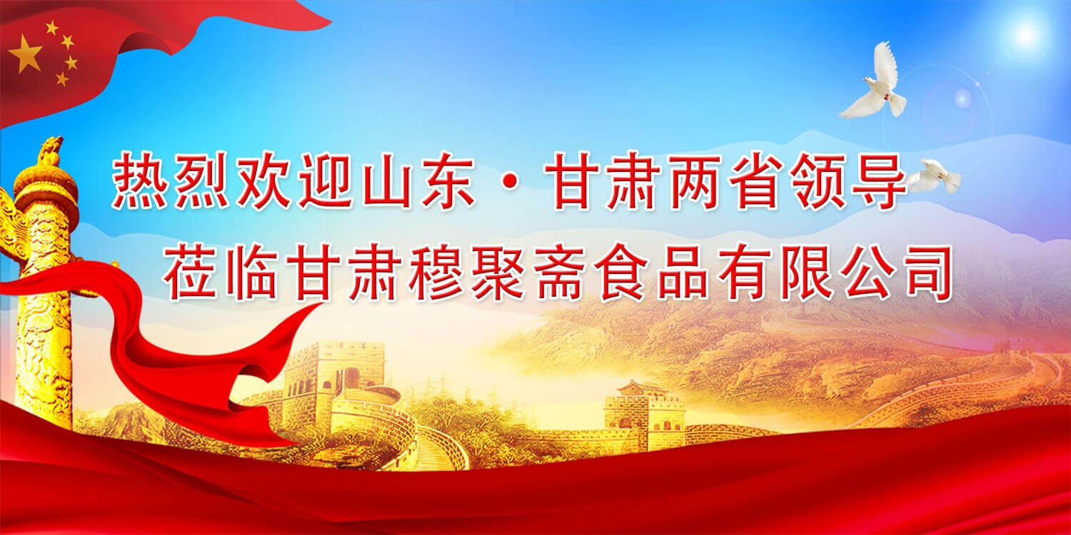 山東省、濟南市黨政代表團蒞臨甘肅穆聚齋食品有限公司